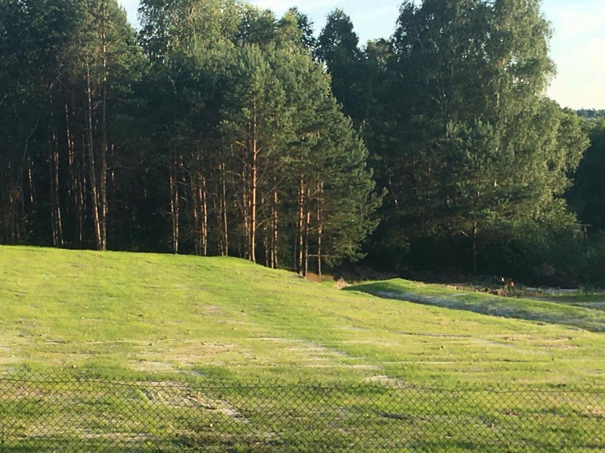 Lesny Dworek Snochowice Exterior photo